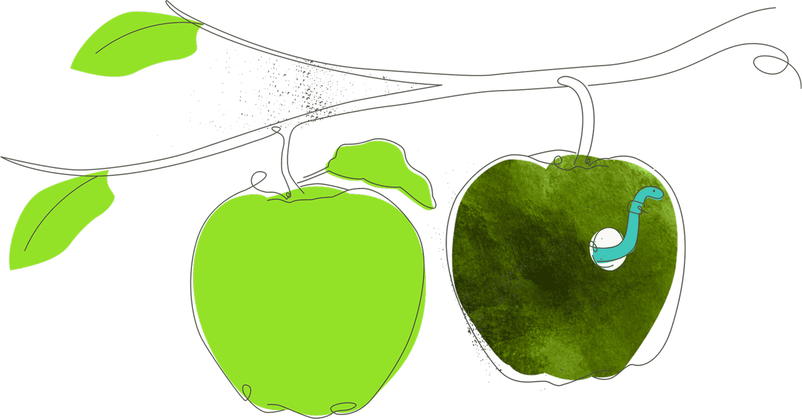 apples